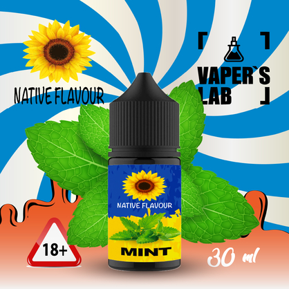 Фото жижа для пода native flavour salt mint 30 ml