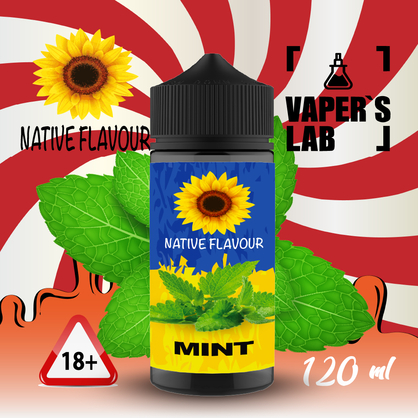 Фото жидкость для электронных сигарет с никотином native flavour mint 120ml