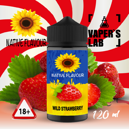 Фото заправка для вейпа дешево native flavour wild strawberry 120 ml