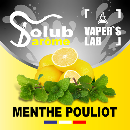 Фото, Відеоогляди на Ароматизатори для сольового нікотину Solub Arome "Menthe pouliot" (Лимон та м'ята) 