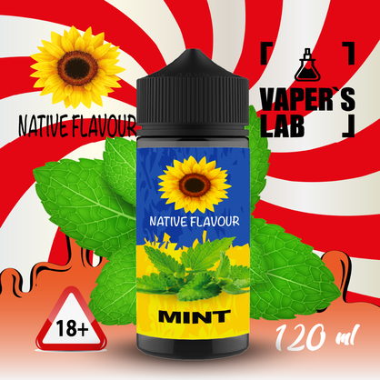 Фото жидкость для электронных сигарет с никотином native flavour mint 120ml