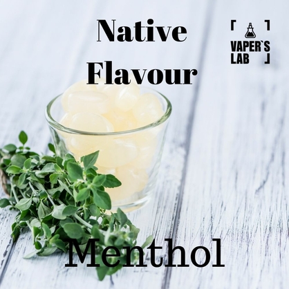 Фото жижа для вейпа купити native flavour menthol 120 ml