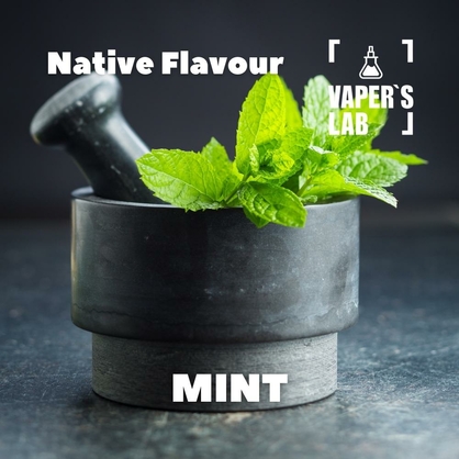 Фото для Аромки Native Flavour Mint 30мл