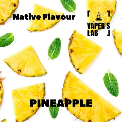 Фото, Відеоогляди на Ароматизатор для самозамісу Native Flavour "Pineapple" 30мл 