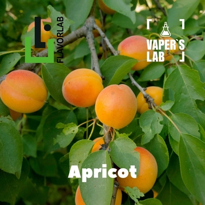 Фото, Відеоогляди на Аромку для вейпа Flavor Lab Apricot 10 мл