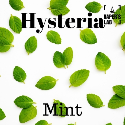 Фото, Відео на Жижи для вейпа Hysteria Mint 100 ml