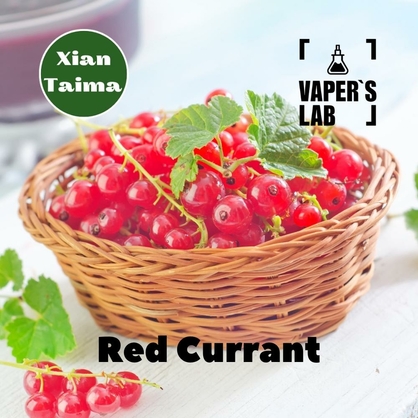 Фото, Відеоогляди на Кращі смаки для самозамісу Xi'an Taima "Red Currant" (Червона смородина) 