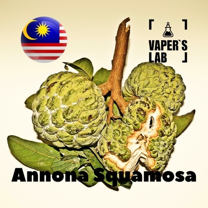 Фото, Відеоогляди на Aroma Malaysia flavors Annona squamosa