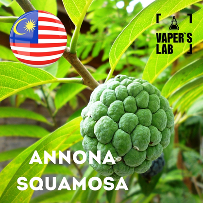 Фото, Відеоогляди на Aroma Malaysia flavors Annona squamosa