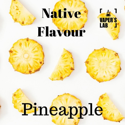 Фото купити жижу для пода native flavour pineapple 15 ml