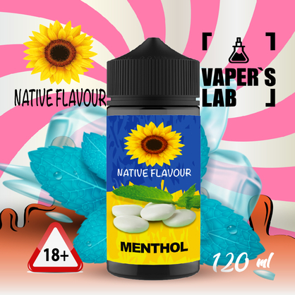 Фото жижа для вейпа купити native flavour menthol 120 ml