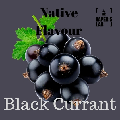 Фото жижа для электронных сигарет native flavour black currant 120 ml