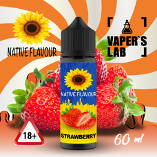 Рідини для вейпа Native Flavour Strawberry 60