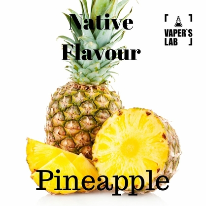 Фото жидкость для вейпа без никотина native flavour pineapple 120 ml