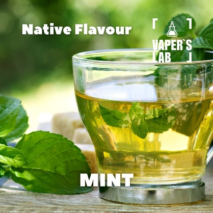 Фото для Аромки Native Flavour Mint 30мл