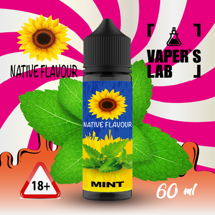 Фото купить жижу native flavour mint 60 ml