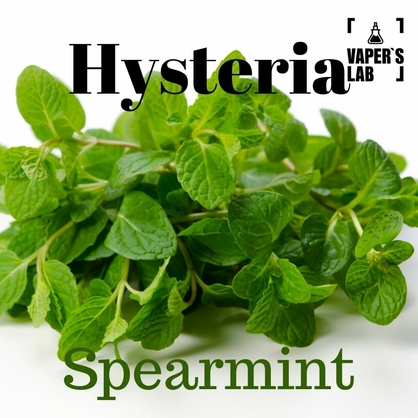 Фото жидкость для электронных сигарет с никотином hysteria spearmint 100 ml