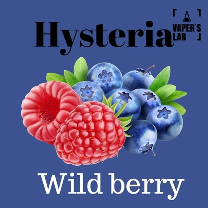 Фото, Видео на жижа Hysteria Wild berry 100 ml