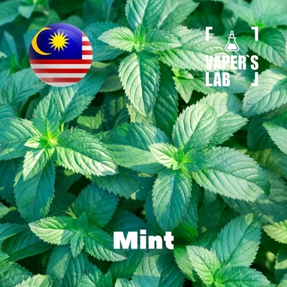 Фото на Ароматизатор для вейпа Malaysia flavors Mint