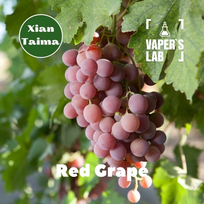 Фото, Відеоогляди на Ароматизатори для сольового нікотину Xi'an Taima "Red grape" (Червоний виноград) 