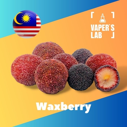 Фото на Аромку для вейпа Malaysia flavors Waxberry