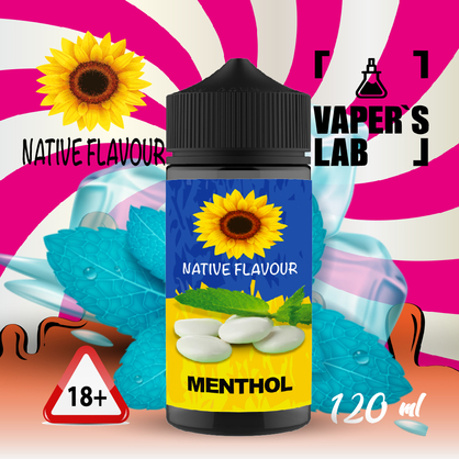 Фото жижа для вейпа купити native flavour menthol 120 ml