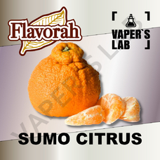 Flavorah Sumo Citrus Сумо Цитрус