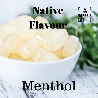 Фото жижа для вейпа купити native flavour menthol 120 ml