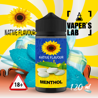 Фото жижа для вейпа купити native flavour menthol 120 ml