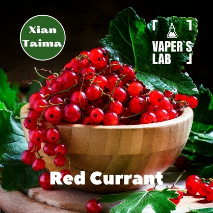 Фото, Відеоогляди на Кращі смаки для самозамісу Xi'an Taima "Red Currant" (Червона смородина) 