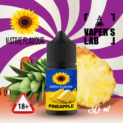 Фото жижа для пода native flavour salt pineapple 30 ml