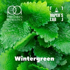 The Perfumer's Apprentice (TPA) TPA "Wintergreen" (Зимова прохолода)