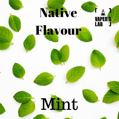 Фото купити жижу native flavour mint 120 ml