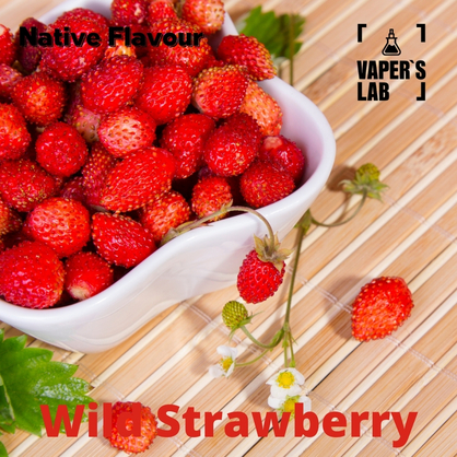 Фото, Відеоогляди на Кращі смаки для самозамісу Native Flavour "Wild Strawberry" 30мл 