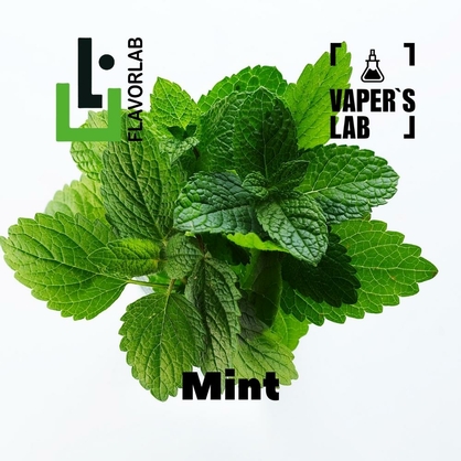 Фото, Відеоогляди на Аромки для вейпа Flavor Lab Mint 10 мл