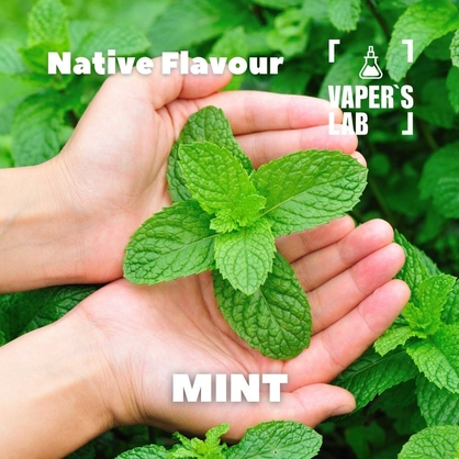 Фото для Аромки Native Flavour Mint 30мл