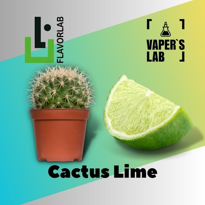 Фото, Відеоогляди на Ароматизатори Flavor Lab Cactus Lime 10 мл