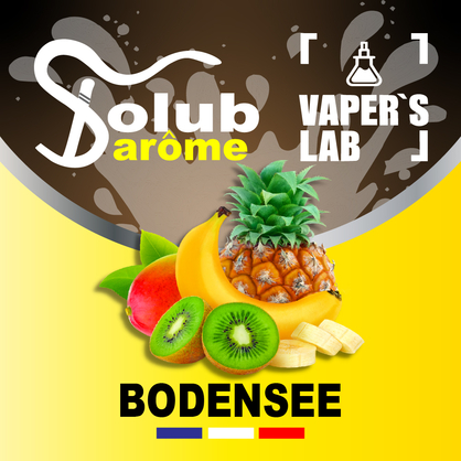 Фото, Видео, Ароматизаторы для вейпа Solub Arome "Bodensee" (Цитрусовые и экзотические фрукты) 