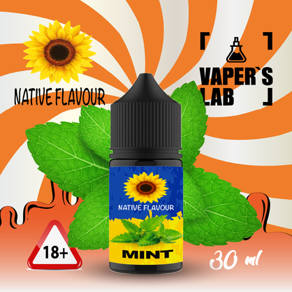 Фото жижа для пода native flavour salt mint 30 ml