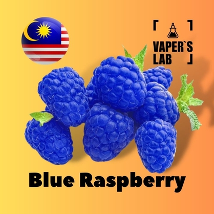 Фото на Ароматизаторы для вейпа Malaysia flavors Blue Raspberry