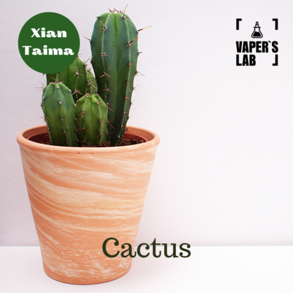 Фото, Видео, Лучшие пищевые ароматизаторы  Xi'an Taima "Cactus" (Кактус) 