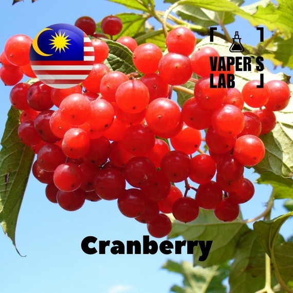 Відгуки на Aroma для вейпа Malaysia flavors Cranberry