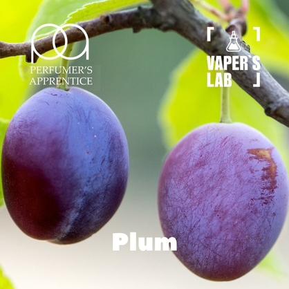 Фото, Відеоогляди на Ароматизатори для рідин TPA "Plum" (Соковита слива) 