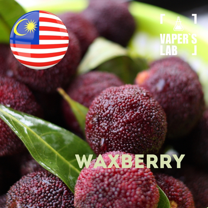 Фото на Аромку для вейпа Malaysia flavors Waxberry