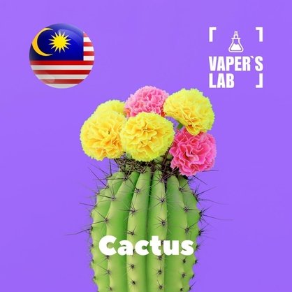 Фото на Аромку для вейпа Malaysia flavors Cactus