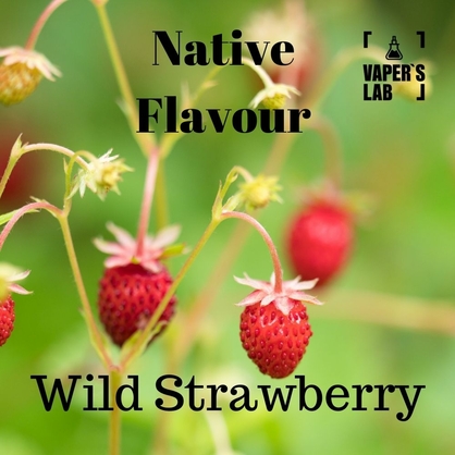 Фото купити жижу для вейпа без нікотину native flavour wild strawberry 120