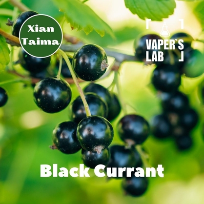 Фото, Відеоогляди на Ароматизатори для самозамісу Xi'an Taima "Black currant" (Чорна смородина) 