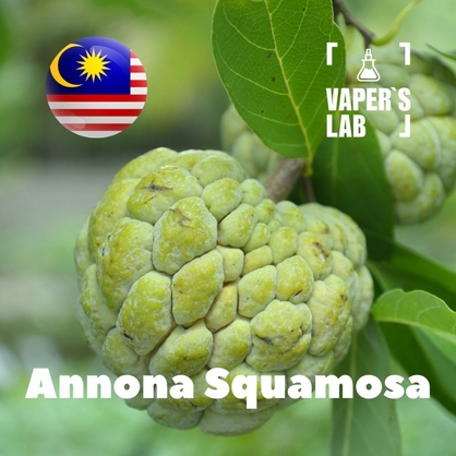 Фото на Аромки для вейпа для вейпа Malaysia flavors Annona squamosa