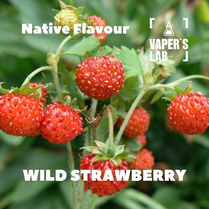 Фото, Відеоогляди на Кращі смаки для самозамісу Native Flavour "Wild Strawberry" 30мл 