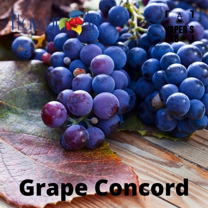 Фото, Відеоогляди на Аромку для вейпа FlavourArt Grape Concord Виноград конкорд